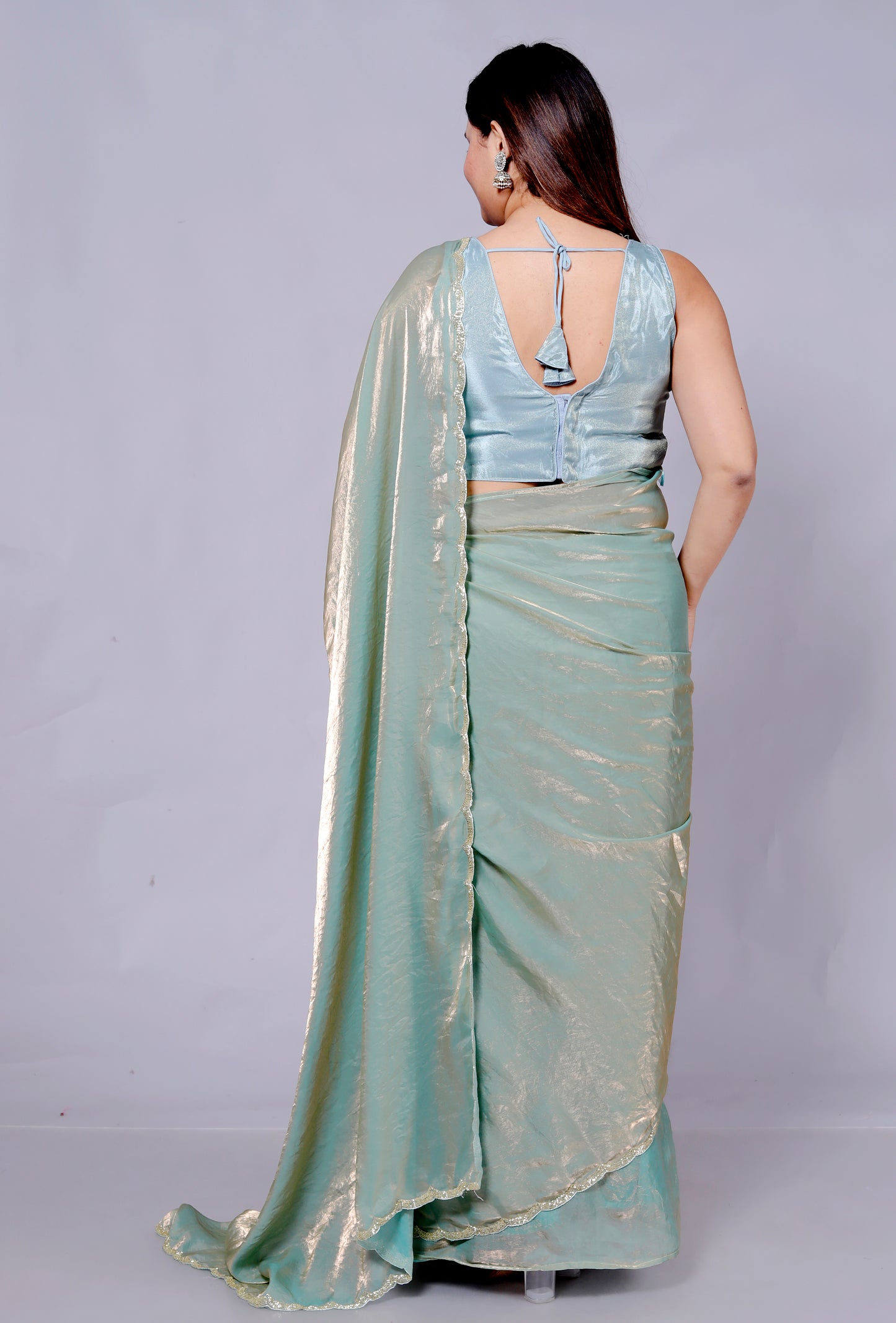 TISSUE SHIMMER BORDER HANDWORK SAREE