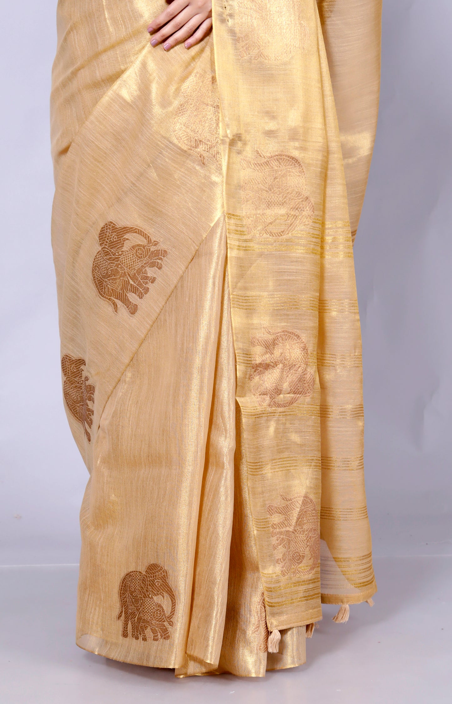 Pure Handloom Tissue Silk Zari Motif Saree