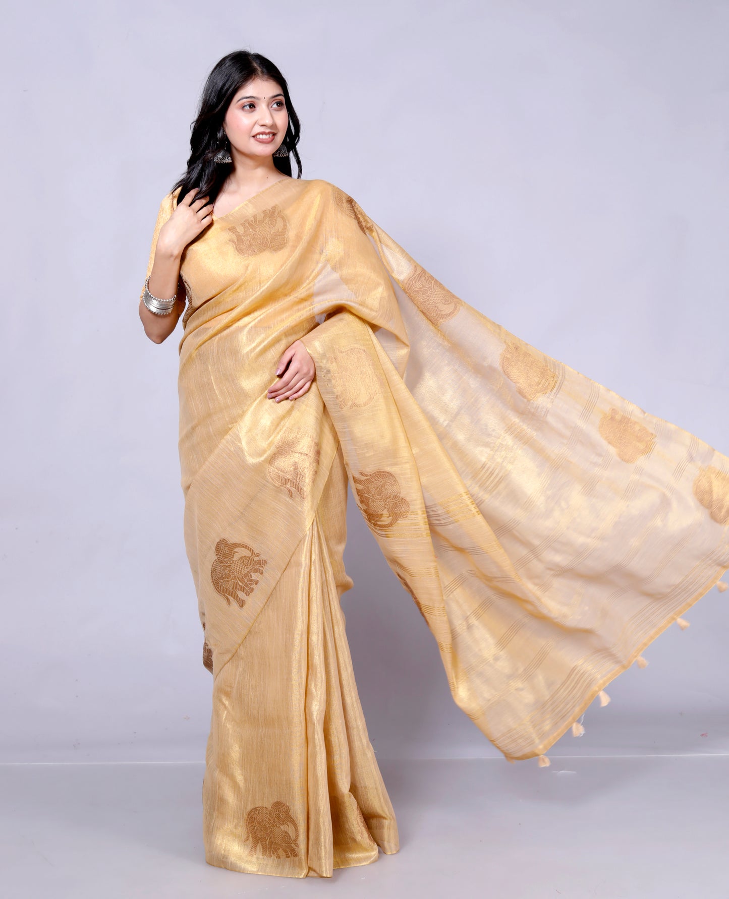 Pure Handloom Tissue Silk Zari Motif Saree