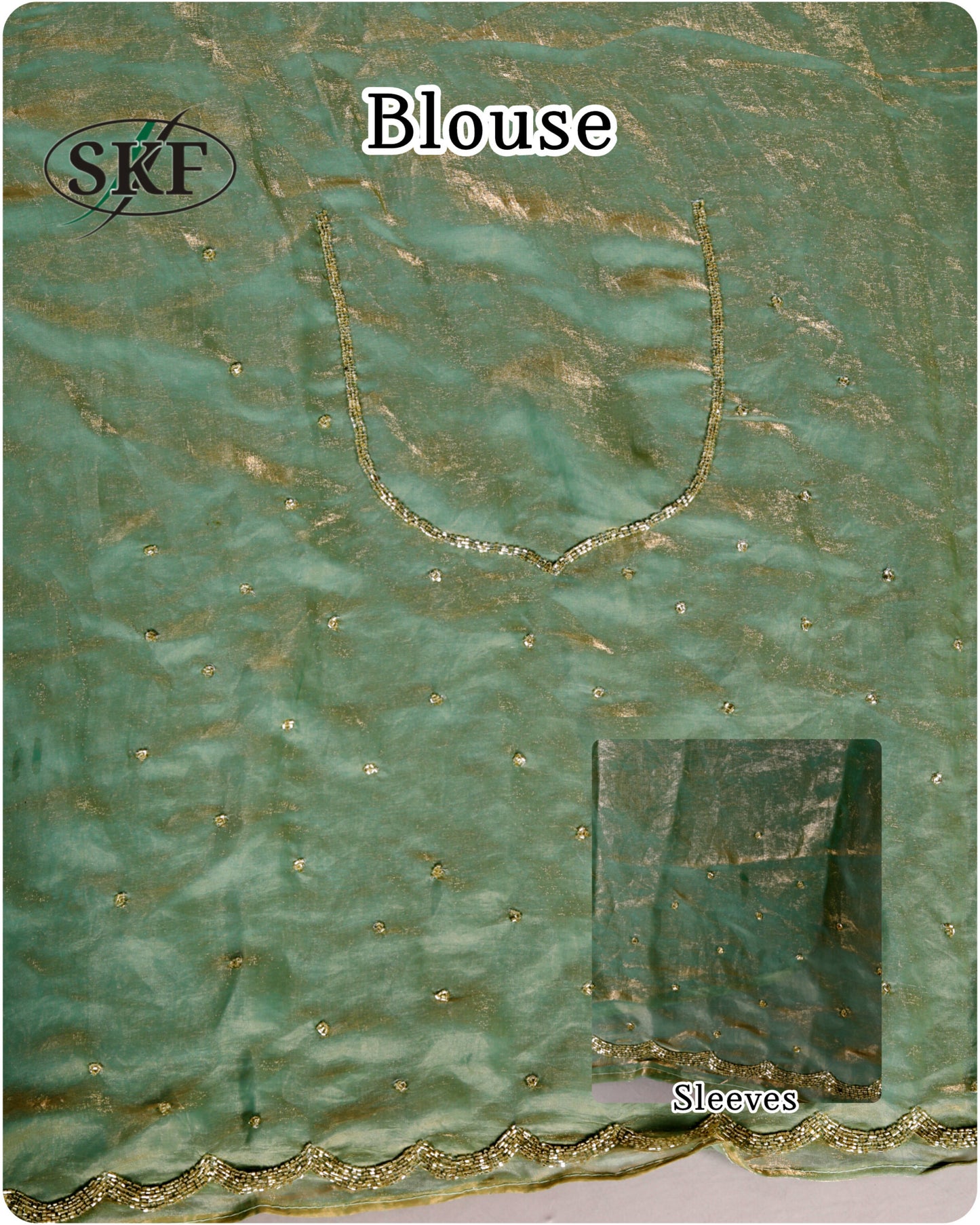 TISSUE SHIMMER BORDER HANDWORK SAREE