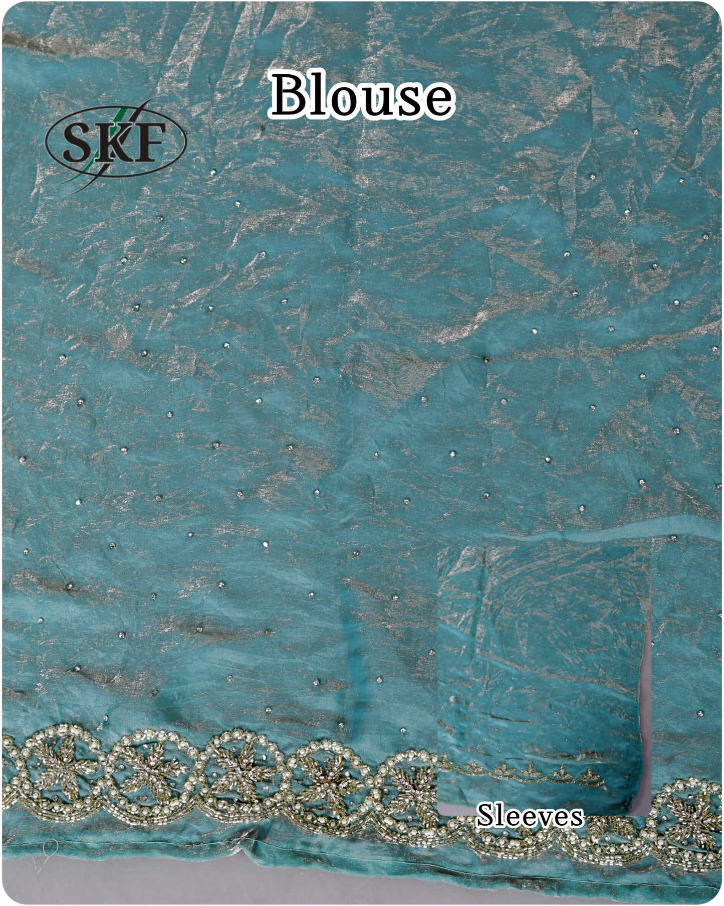 TISSUE SHIMMER BORDER HANDWORK SAREE