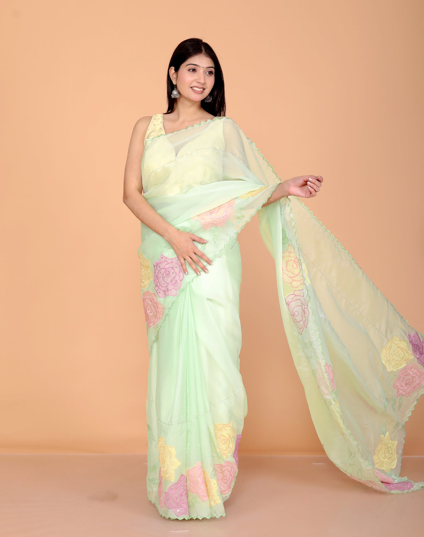 TISSUE APPLIQUE HANDWORK DESIGNER PISTA SAREE BY SKFBHOLUBHAI