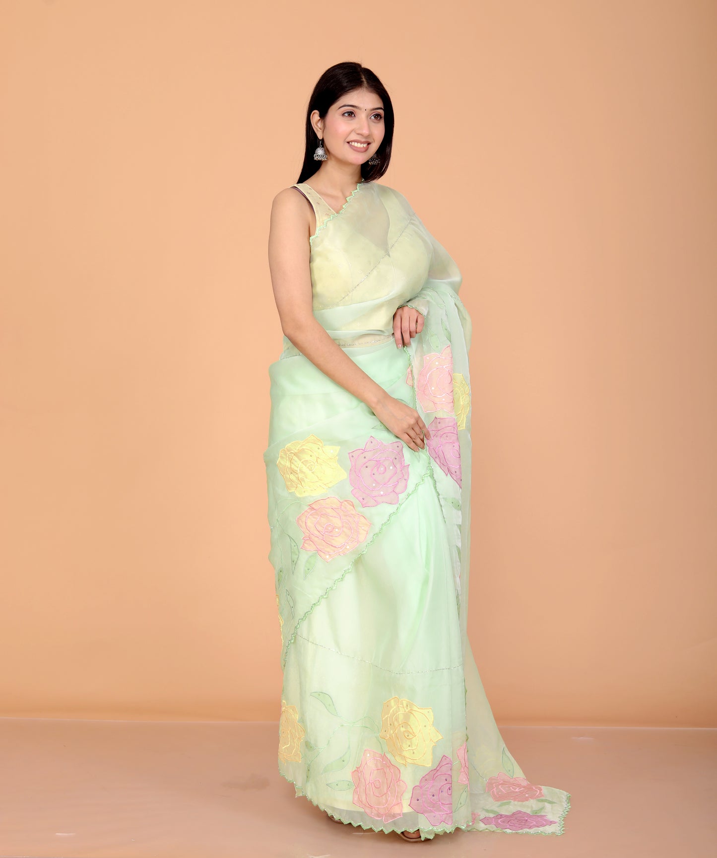 TISSUE APPLIQUE HANDWORK DESIGNER PISTA SAREE BY SKFBHOLUBHAI