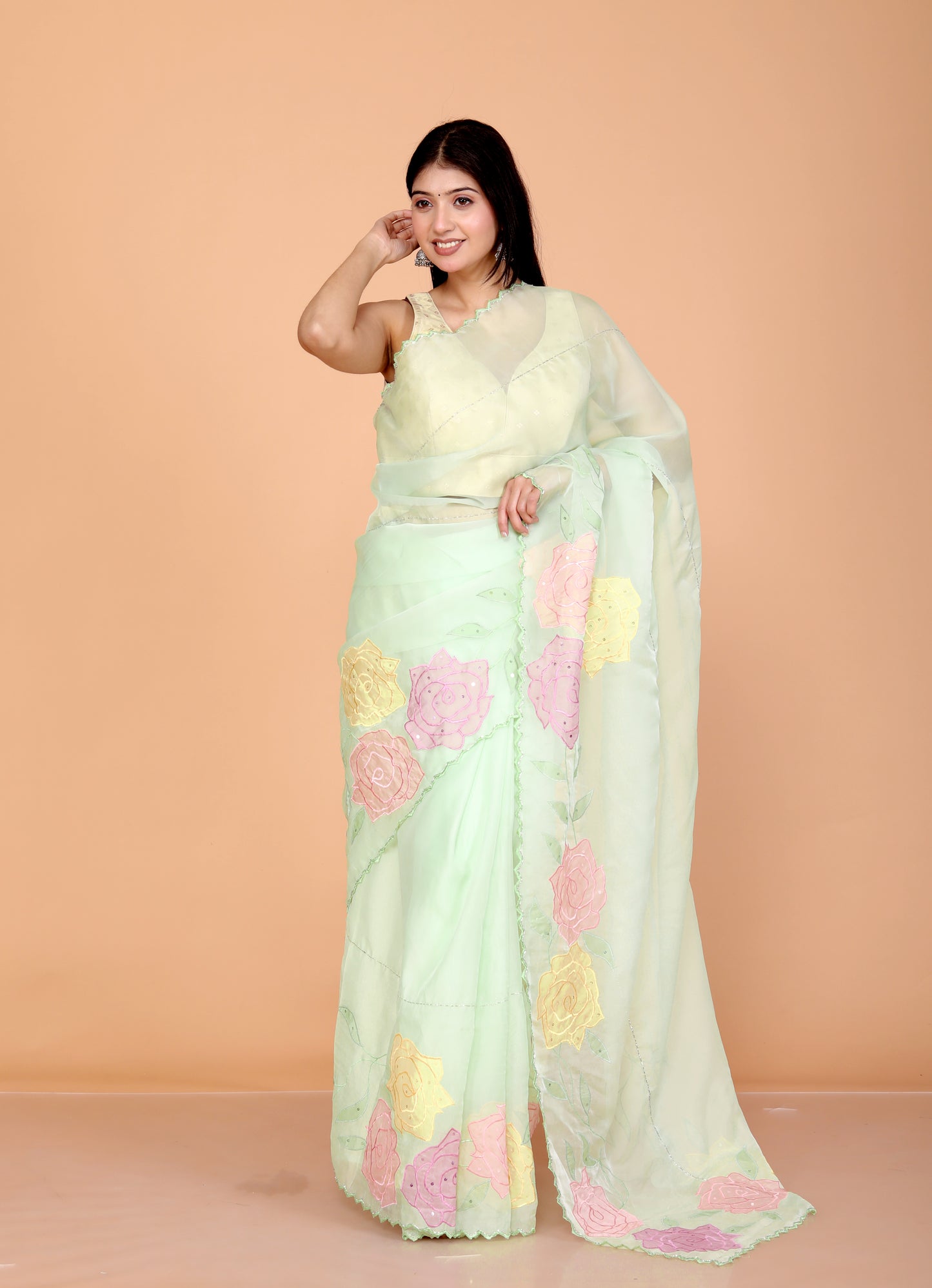 TISSUE APPLIQUE HANDWORK DESIGNER PISTA SAREE BY SKFBHOLUBHAI