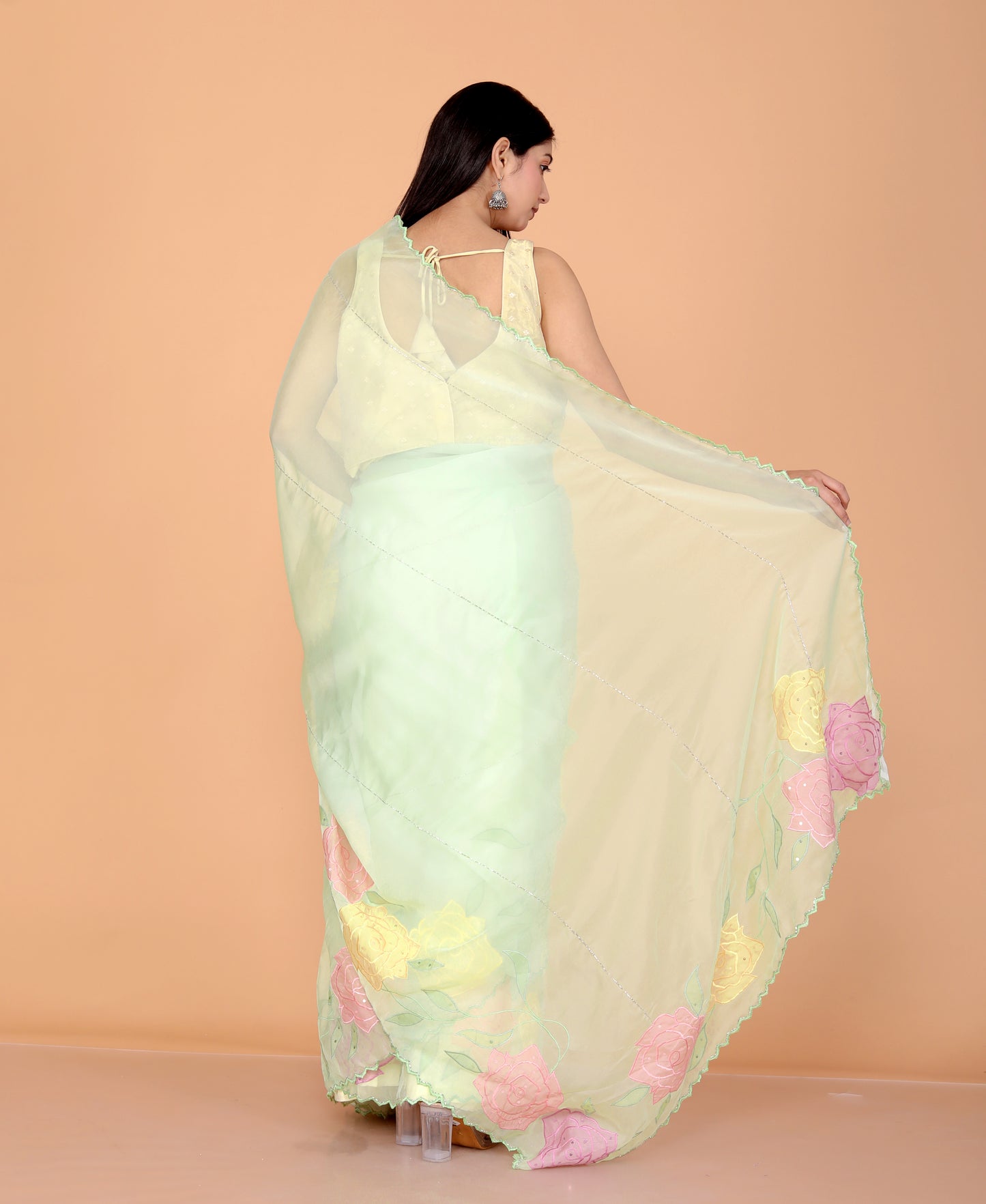 TISSUE APPLIQUE HANDWORK DESIGNER PISTA SAREE BY SKFBHOLUBHAI