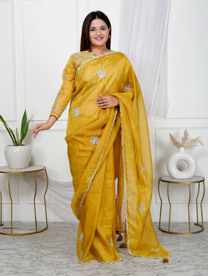 PURE ORGANZA EMBROIDERY JACKET STYLE SAREE