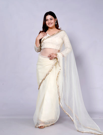 Roopgatha Pure Tissue Hanging Coin Border Saree