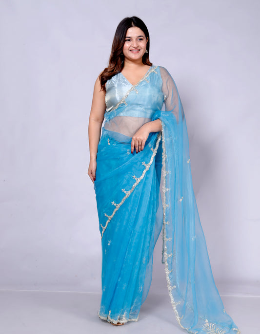 ORGANZA DIAMOND HANDWORK SAREE