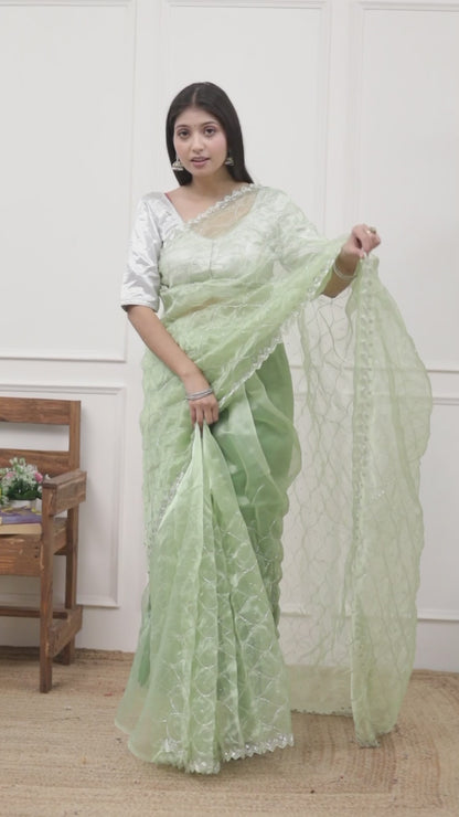 ORGANZA JAAL HANDWORK SAREE