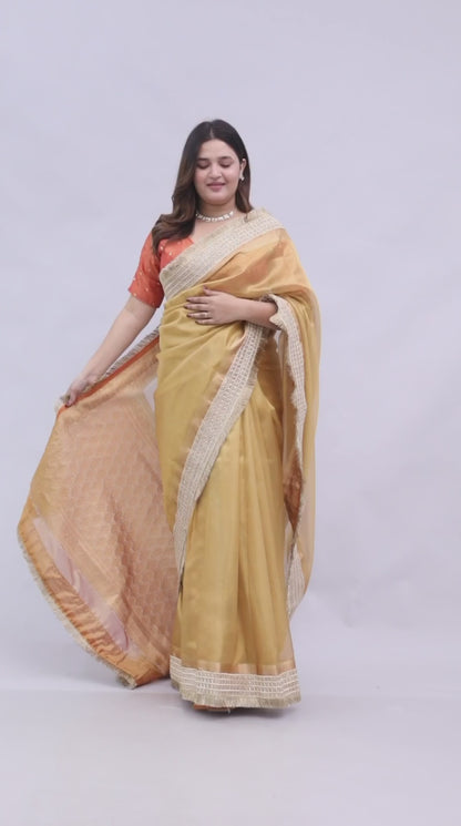 Roopgatha Banarsi Tissue Silk Border Saree