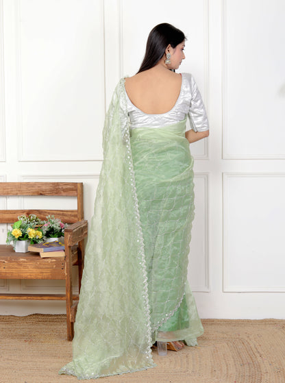 ORGANZA JAAL HANDWORK SAREE