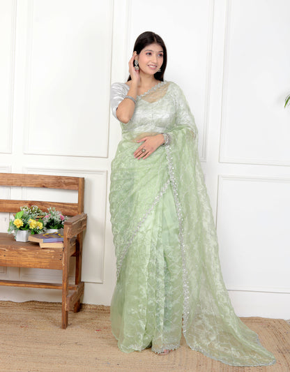 ORGANZA JAAL HANDWORK SAREE